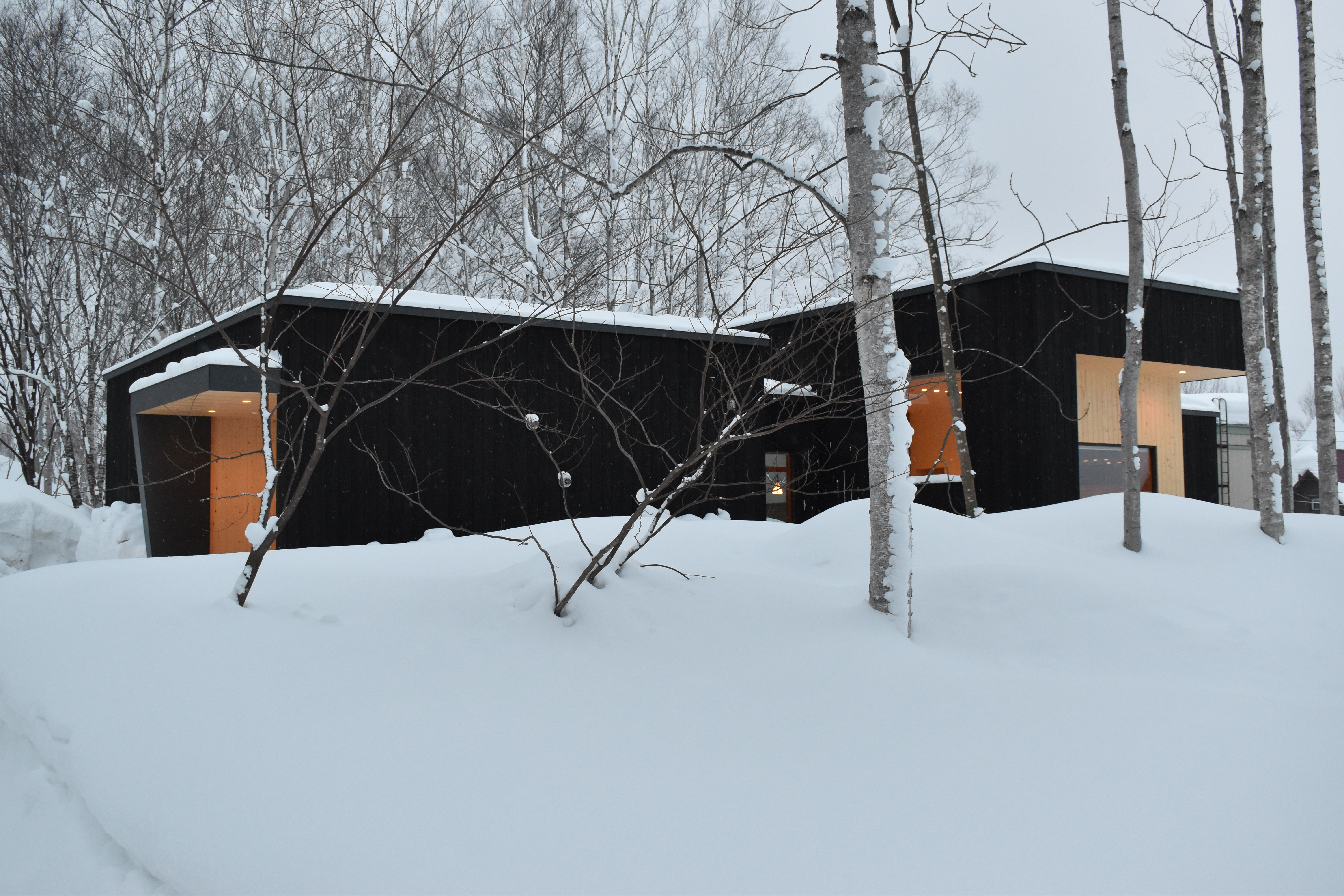 Birchwood - The hallway