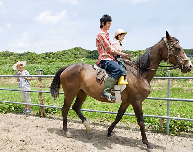 Birchwood - Horse Riding