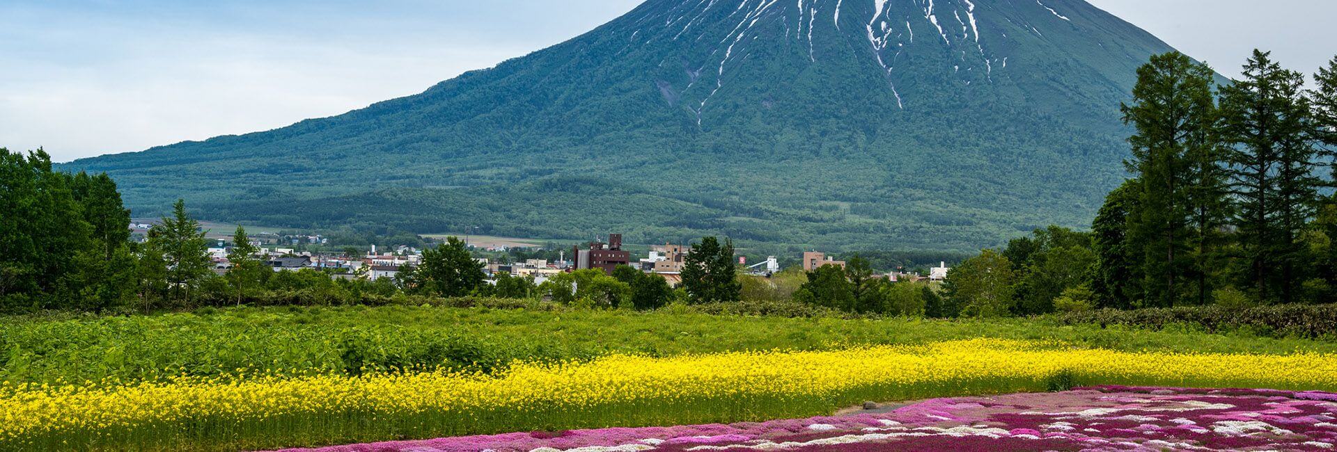 Birchwood - Summer Seasons